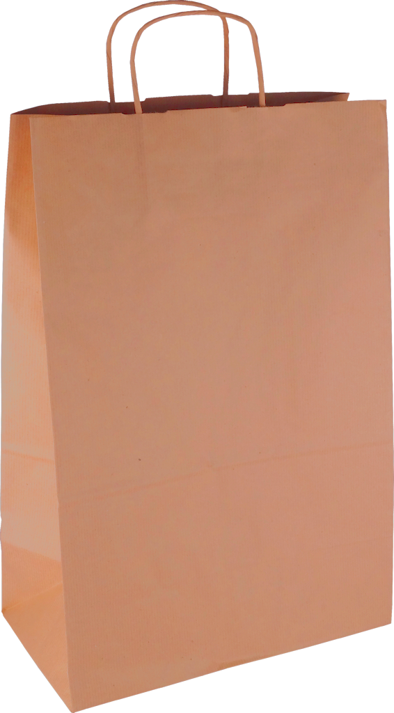  Papiertasche mit Papierkordel EKO PLUS braun